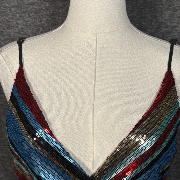 Vici Multicolor Striped Midi Dress - Picture 7 of 14